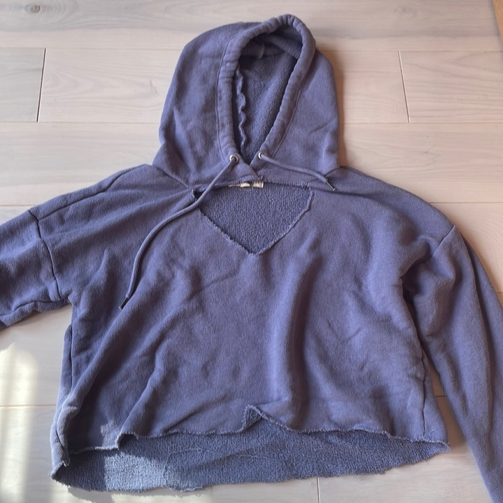 Pacsun Cropped Hoodie